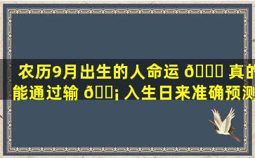 农历9月出生的人命运 🐛 真的能通过输 🐡 入生日来准确预测吗